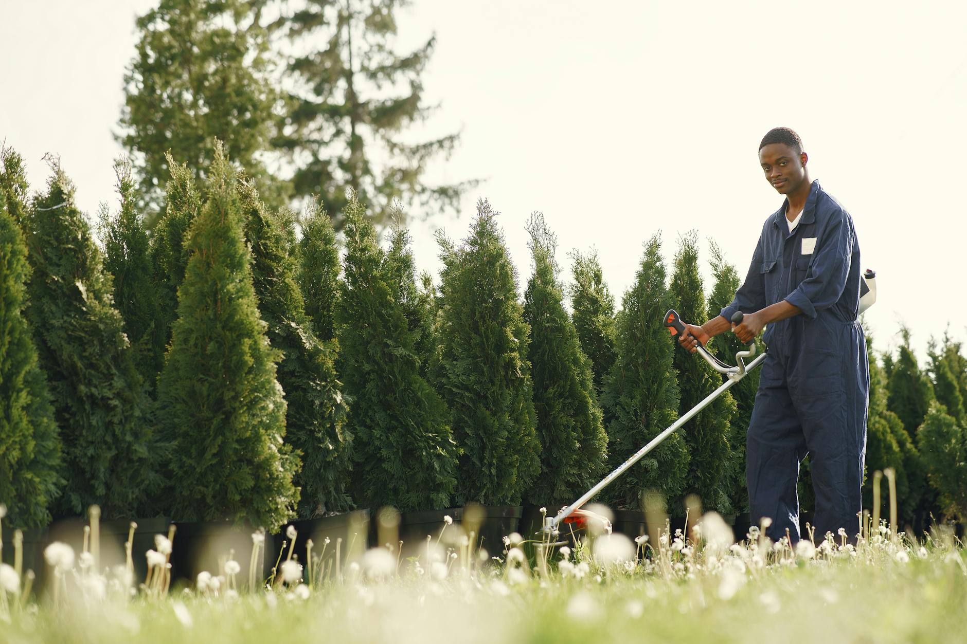 Gym workout